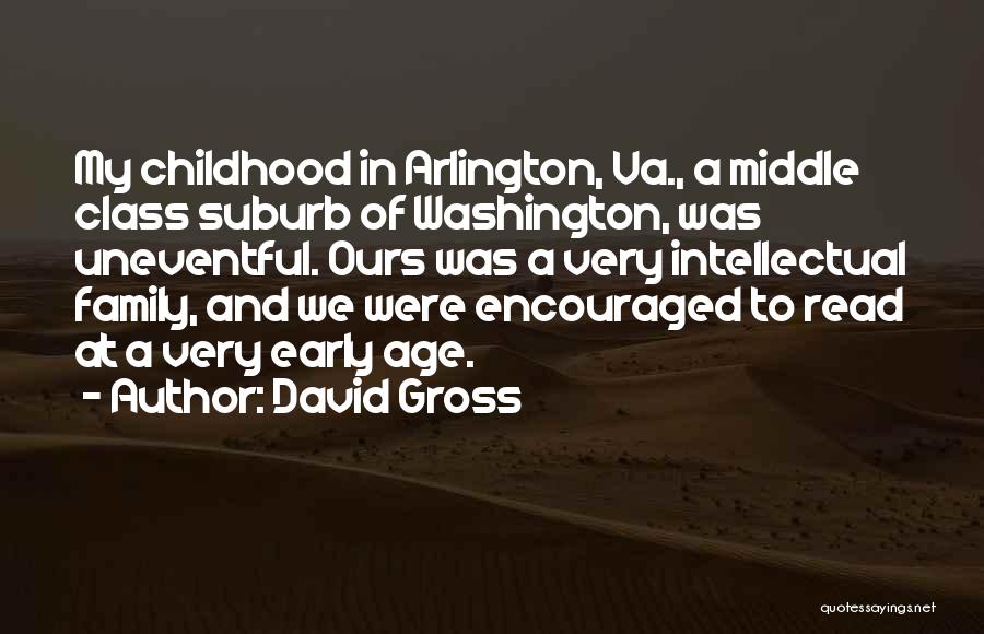 David Gross Quotes 1265165