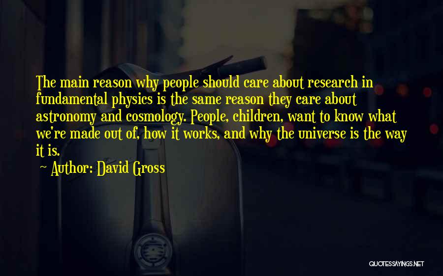 David Gross Quotes 130088