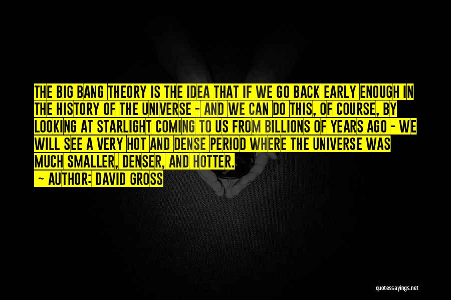 David Gross Quotes 1310140