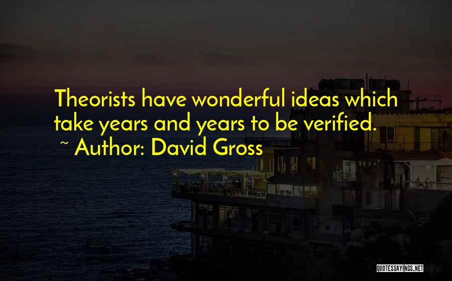 David Gross Quotes 1393936