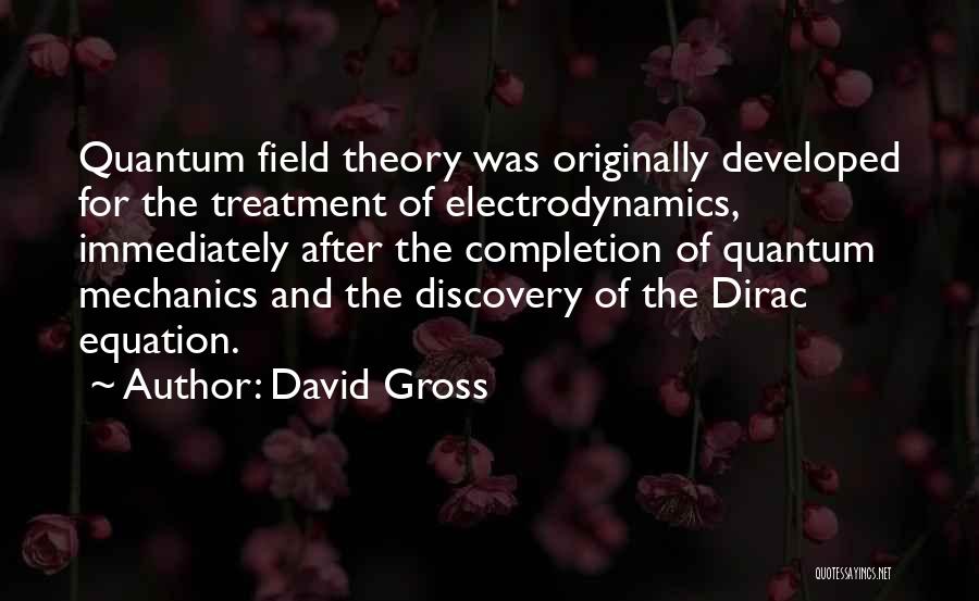 David Gross Quotes 1420157