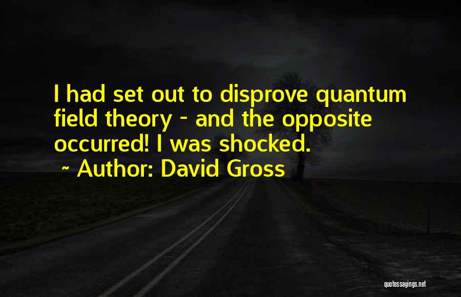 David Gross Quotes 1750622