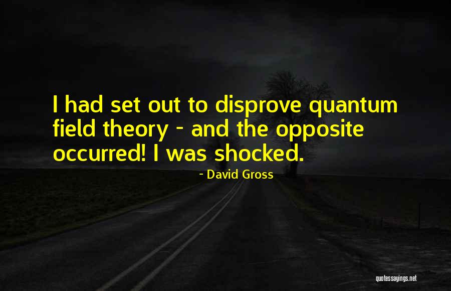 David Gross Quotes 1750622