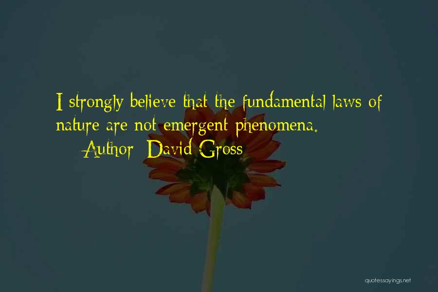 David Gross Quotes 2118384