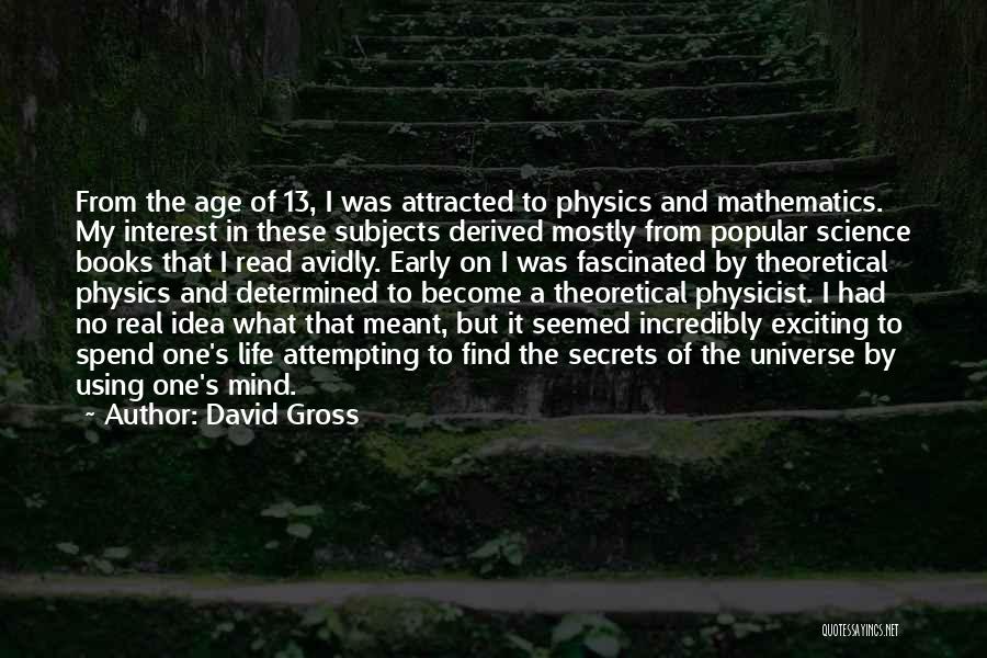 David Gross Quotes 249981
