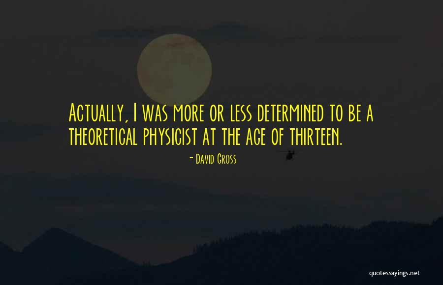 David Gross Quotes 312440 David Gross Quotes 312440