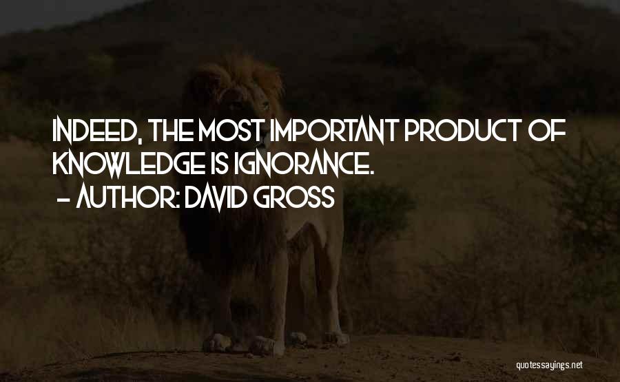 David Gross Quotes 656331