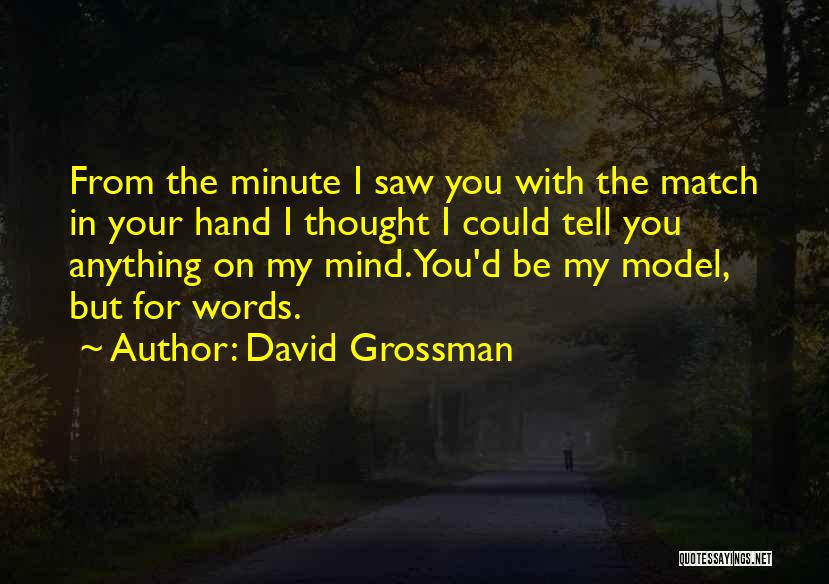 David Grossman Quotes 1046569