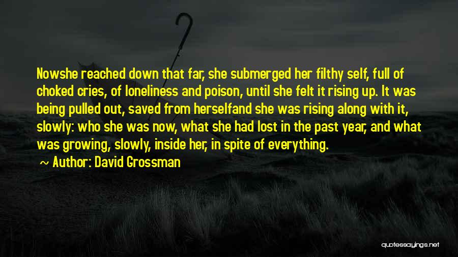 David Grossman Quotes 1207507