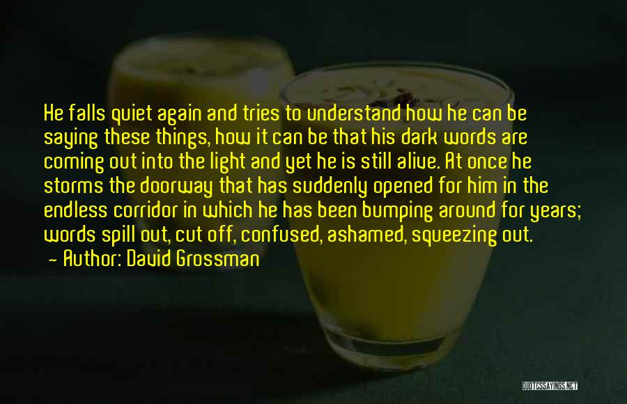 David Grossman Quotes 1727825