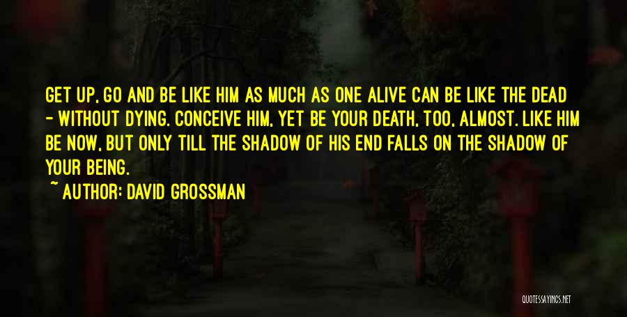 David Grossman Quotes 2243251