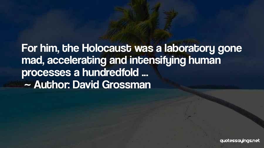 David Grossman Quotes 335196