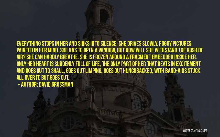 David Grossman Quotes 487469