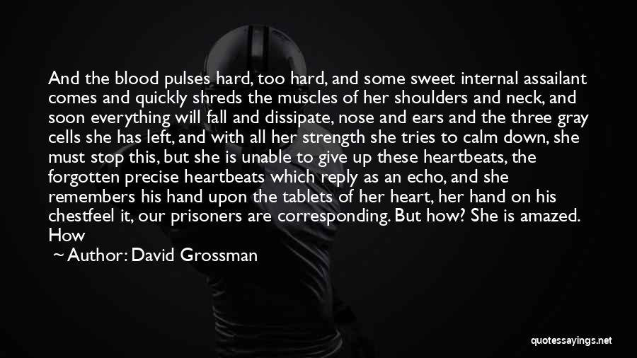 David Grossman Quotes 631824