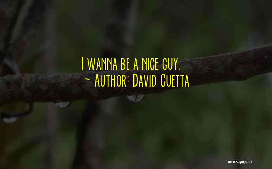 David Guetta Quotes 79942