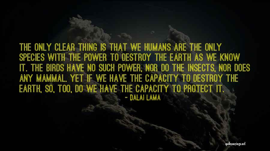 David Guetta Titanium Quotes By Dalai Lama David Guetta Titanium Quotes By Dalai Lama