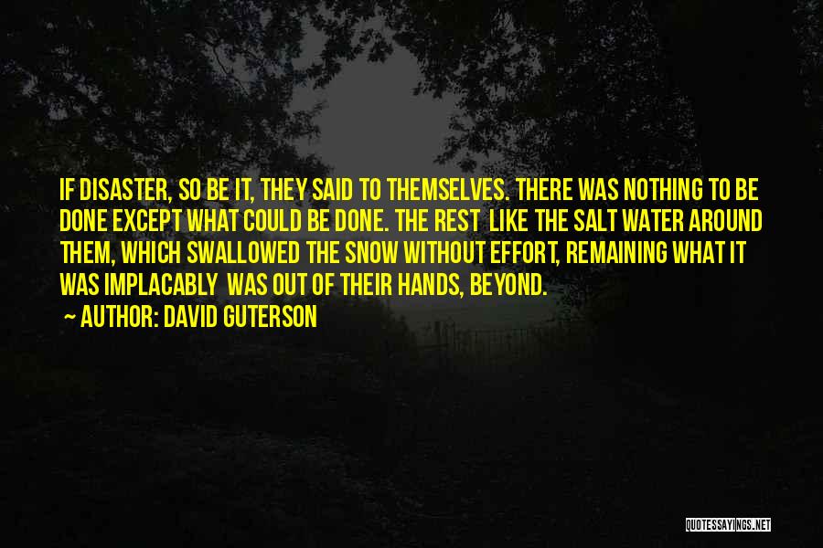 David Guterson Quotes 1018774