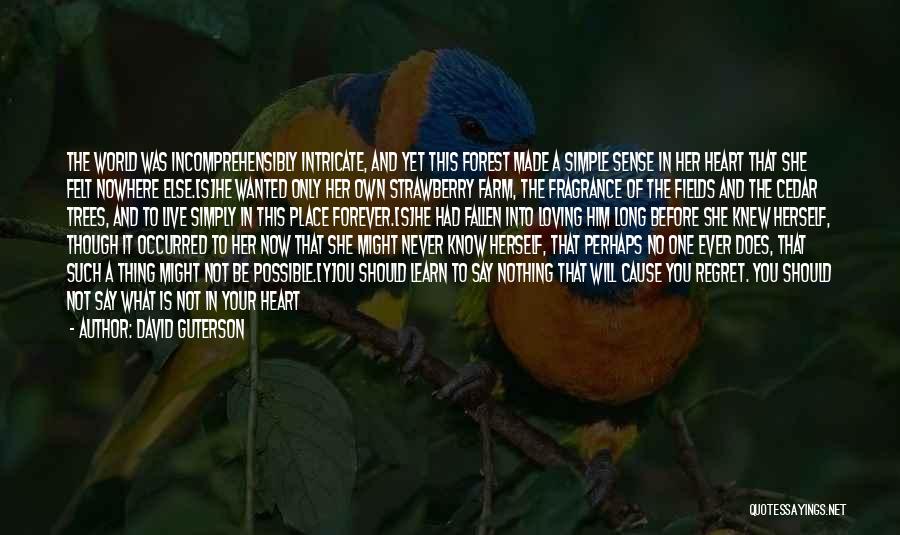 David Guterson Quotes 1779783