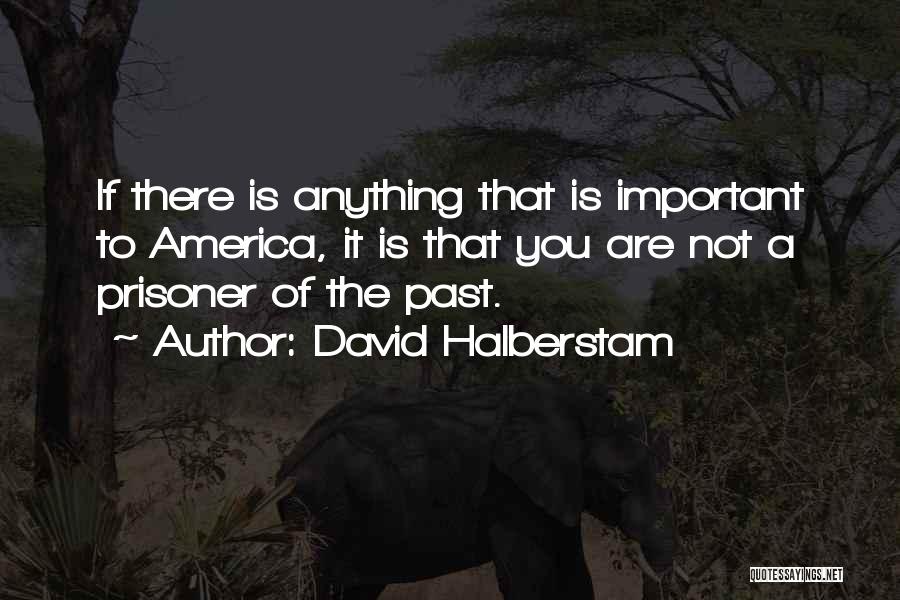 David Halberstam Quotes 620085