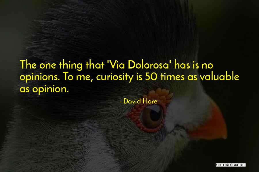 David Hare Quotes 2204020