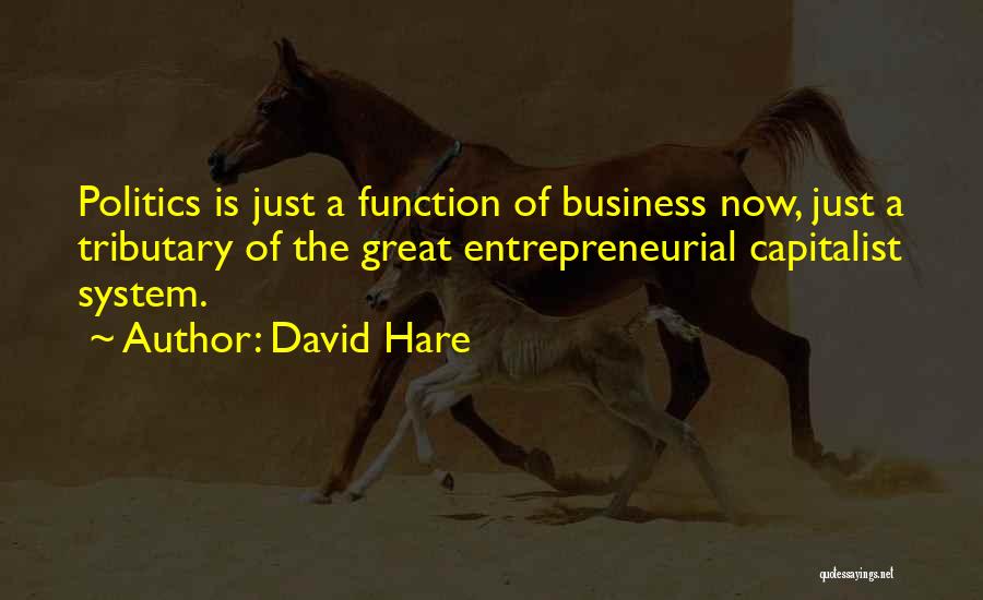David Hare Quotes 795410
