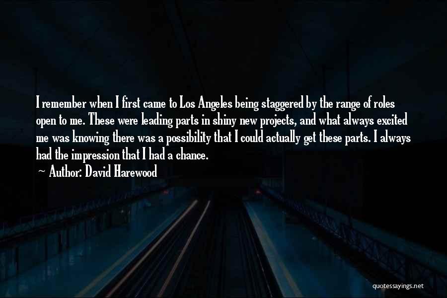 David Harewood Quotes 1559026