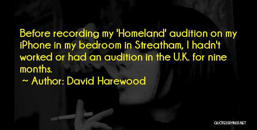 David Harewood Quotes 1695809