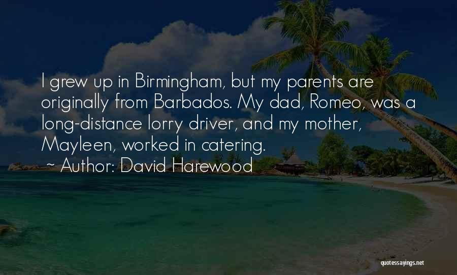 David Harewood Quotes 338782