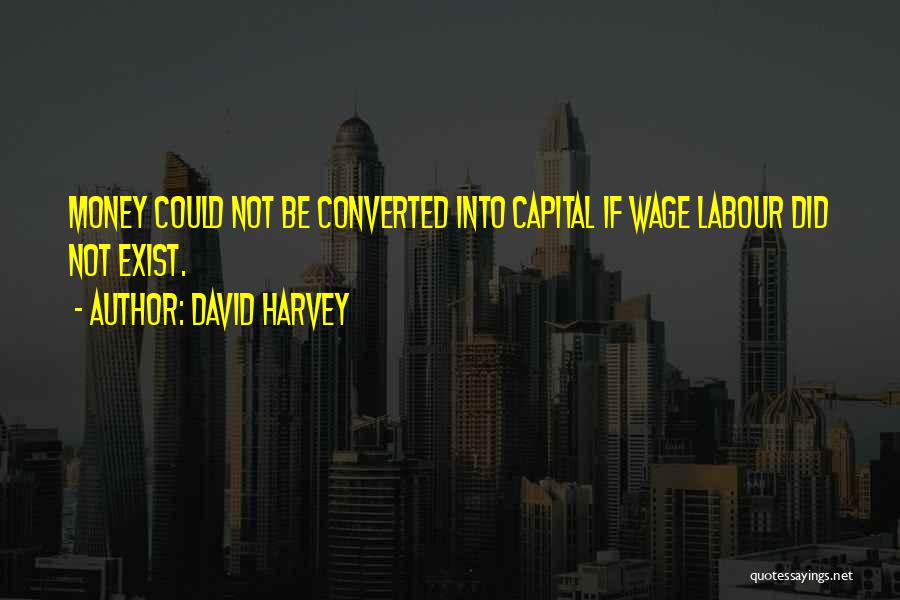 David Harvey Quotes 195785