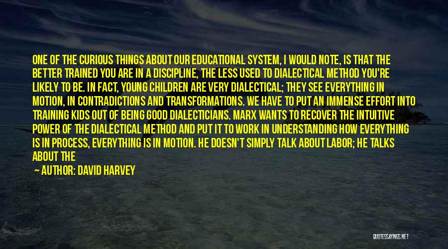 David Harvey Quotes 206837