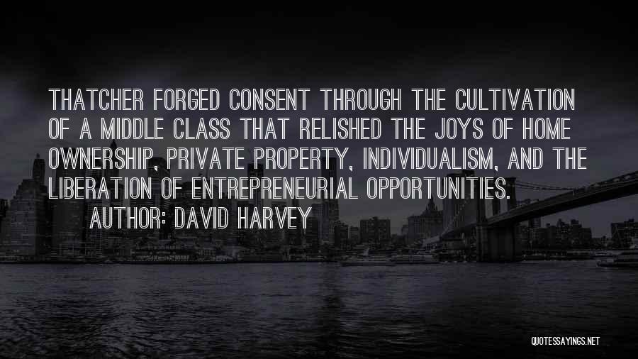 David Harvey Quotes 252346