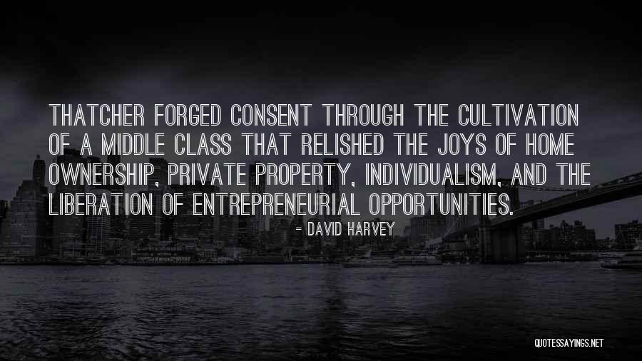 David Harvey Quotes 252346