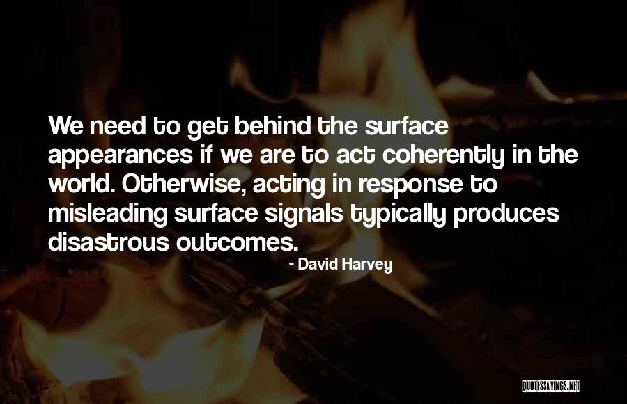 David Harvey Quotes 315040