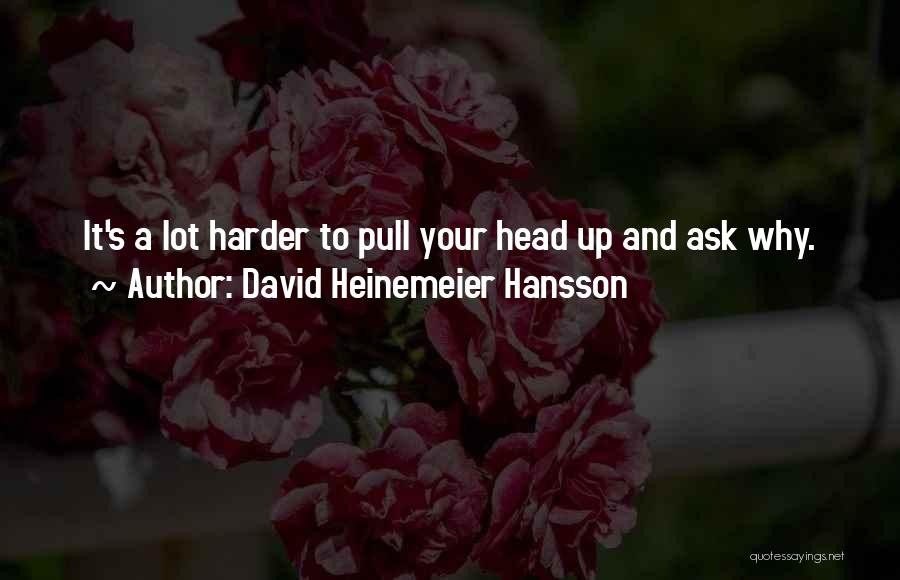 David Heinemeier Quotes By David Heinemeier Hansson