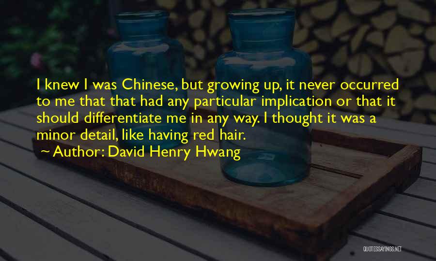 David Henry Hwang Quotes 2250294