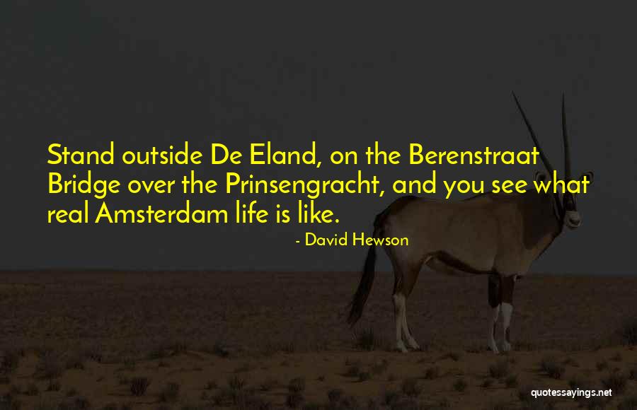 David Hewson Quotes 1002972 David Hewson Quotes 1002972