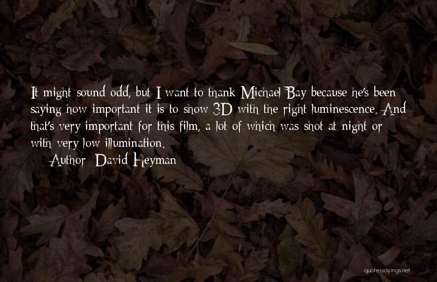 David Heyman Quotes 751362