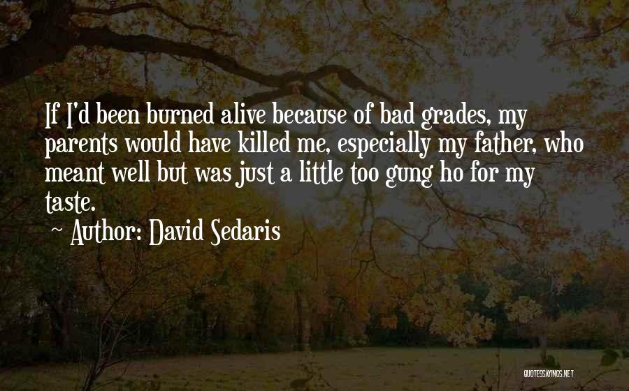 David Ho Quotes By David Sedaris