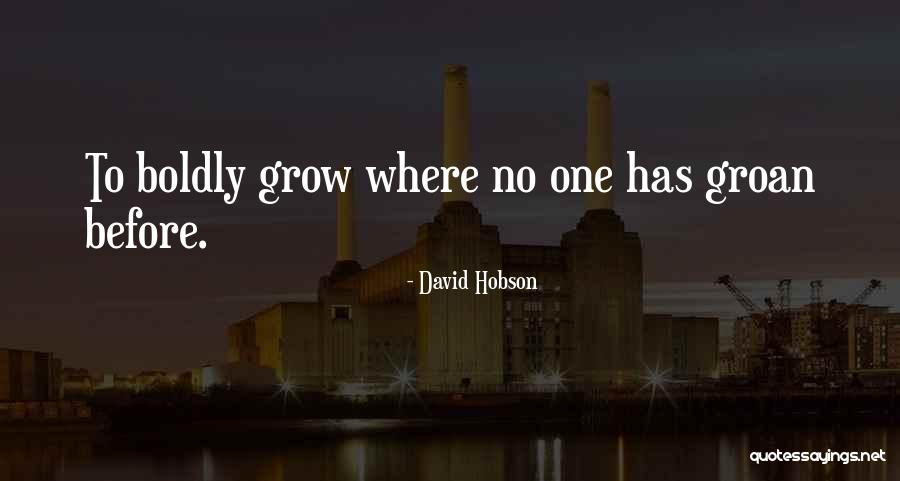 David Hobson Quotes 1032166