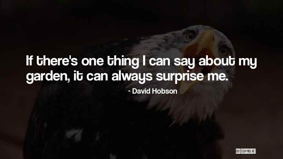 David Hobson Quotes 1406866