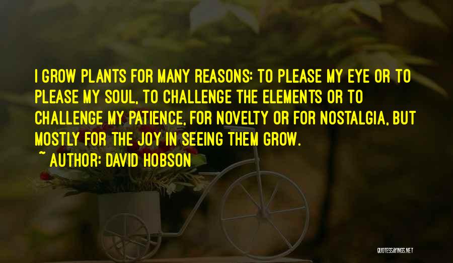 David Hobson Quotes 1856215