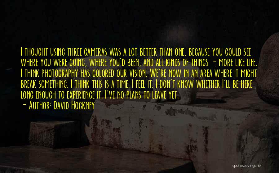 David Hockney Quotes 1257134