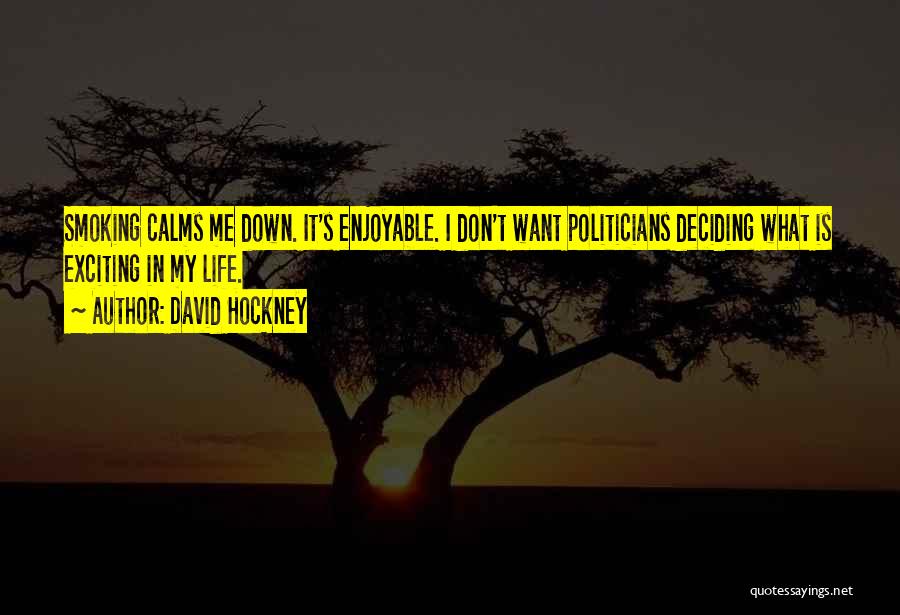 David Hockney Quotes 2176644