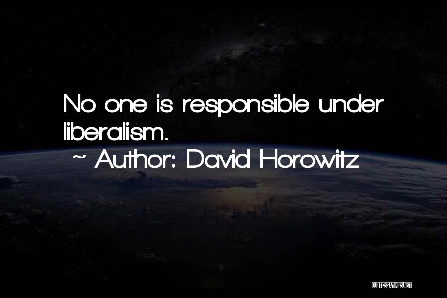 David Horowitz Quotes 1150152