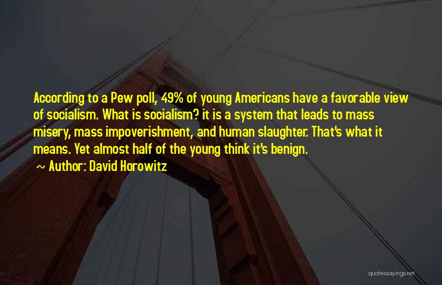 David Horowitz Quotes 1359769