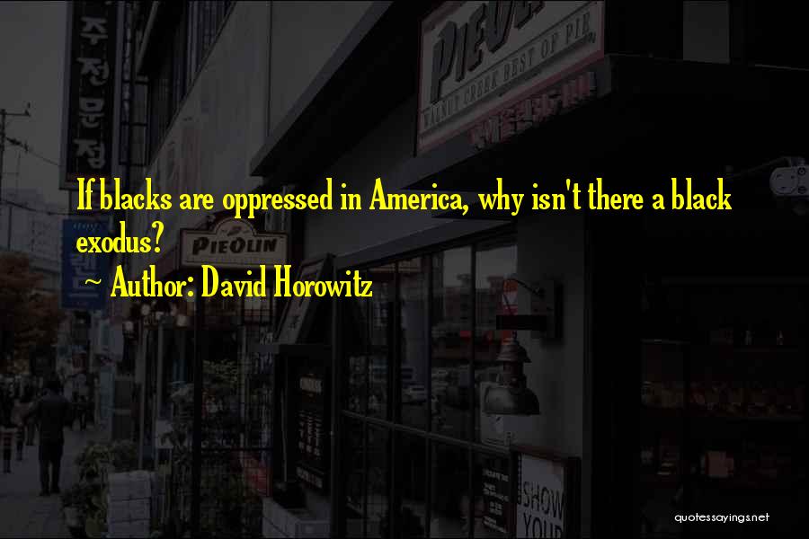 David Horowitz Quotes 1863375