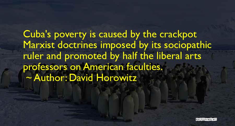 David Horowitz Quotes 785829