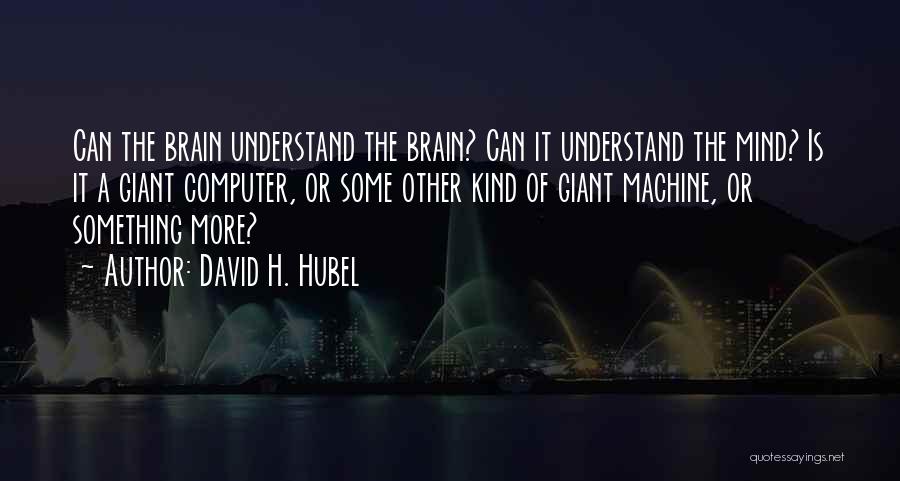 David Hubel Quotes By David H. Hubel