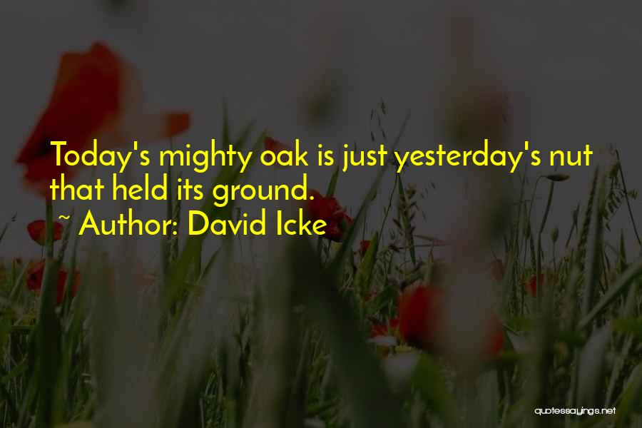 David Icke Quotes 1708628