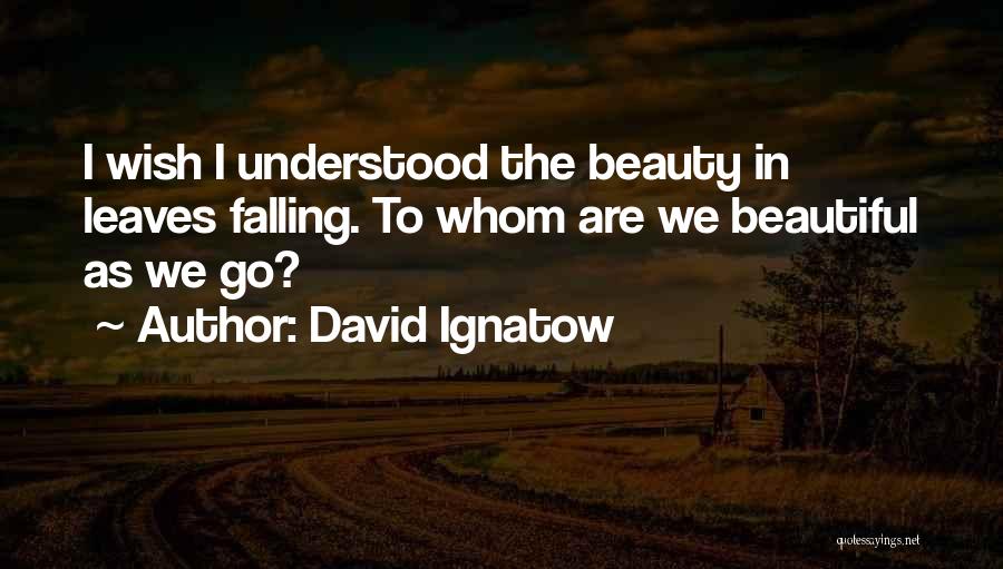 David Ignatow Quotes 1093785